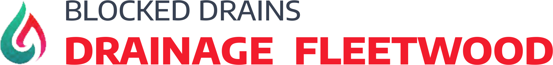 website logo